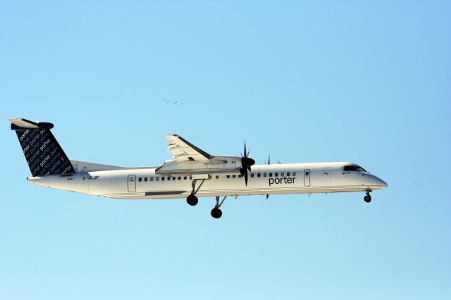 de Havilland Dash 8-100 (C-GLQF)