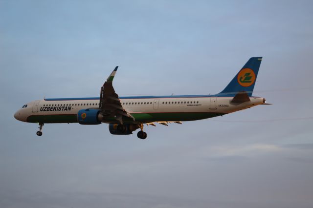 Airbus A321neo (UK-32102) - An Uzbekistan Airways A321 neo on final approach into LHR, landing on runway 27L.br /br /Location: Myrtle Ave.br /Date: 21.08.22