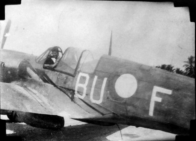 CURTISS Warhawk (BUF) - My Grandpa in a P-40 Kittyhawk in New Guinea 1944 or 45. Disclaimer: I obviously didnt take this photo nor do I know who did.