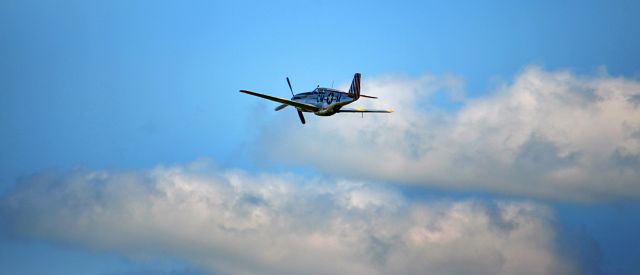 North American P-51 Mustang (N251MX)