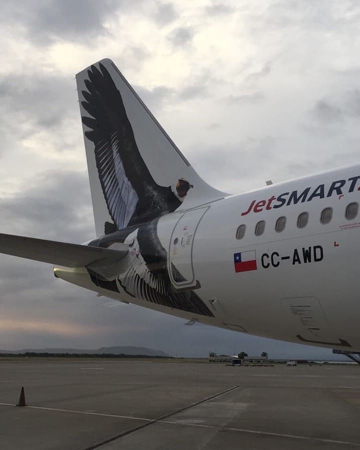 Airbus A320 (CC-AWD) - JetSmart Airbus A320 at Norman Manley International Airport