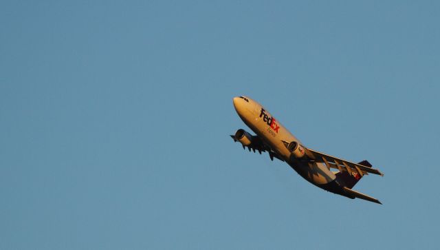 Airbus A300F4-600 (FDX1316) - Fedex1316 turns southbound off KLGB heading for KMEM....April 16, 2013