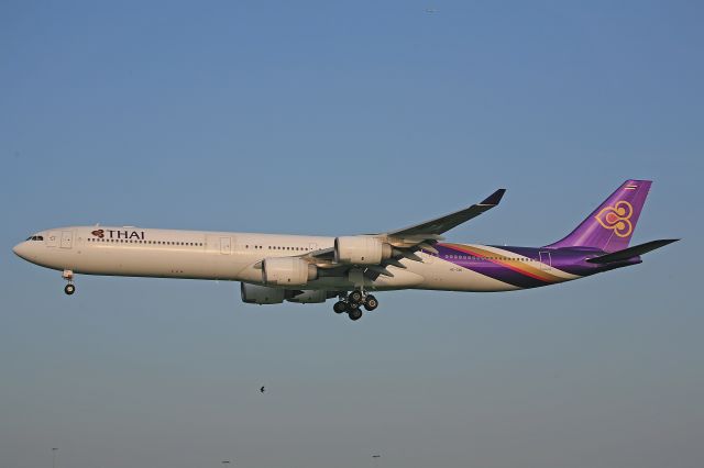 Airbus A340-600 (HS-TNC) - Thai   Airbus A340-600  HS-TNC