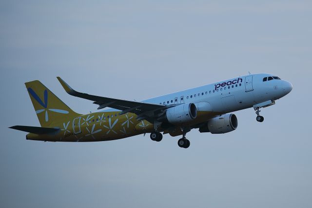Airbus A320 (JA08VA)