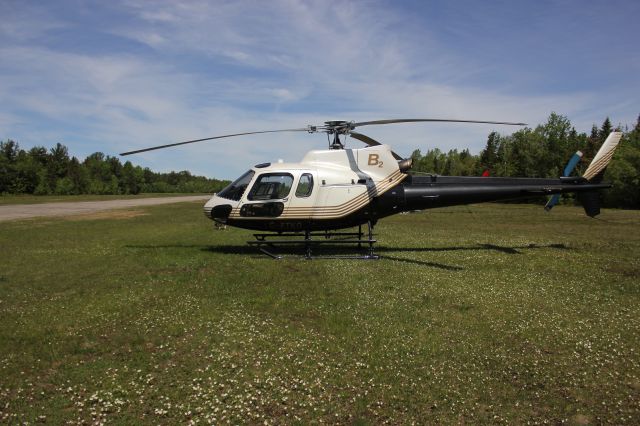 C-FTKO — - C-FTKO Aerospatiale Ecureuil AS-350-B-2 RVA-Aéroport du lac à la Tortue QC.CSL3 08-06-2019.