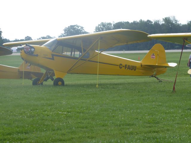 Piper L-18B Cub Special (C-FAUU)