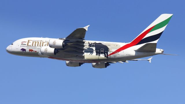 Airbus A380-800 (A6-EDG)