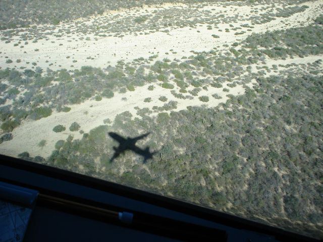 Airbus A320 (F-OHMN)