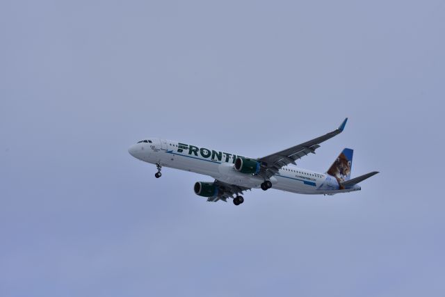 Airbus A321 (N718FR) - 11Mar2017: Frontiers newest delivery "Cali the Lion".