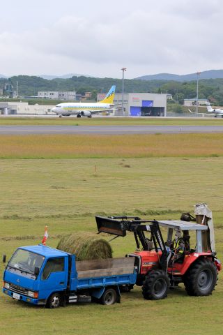 Boeing 737-500 (JA8595) - AIR DObr /Boeing 737-54Kbr /Jun.30.2015 Hakodate Airport[HKD/RJCH] JAPAN