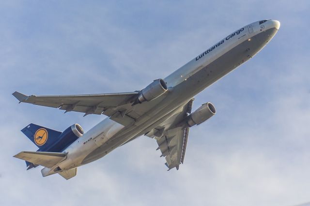 Boeing MD-11 (D-ALCB) - Registo com uma Canon 5D MarckIII