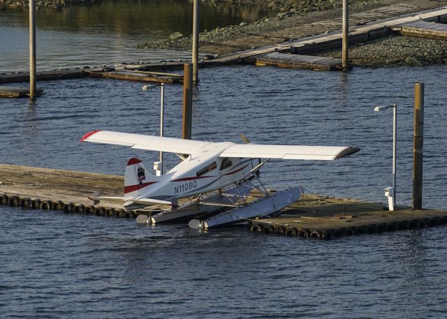 De Havilland Canada DHC-2 Mk1 Beaver (N1108Q)