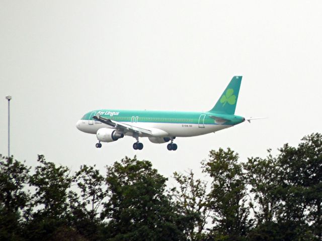 Airbus A320 (EI-DVN)