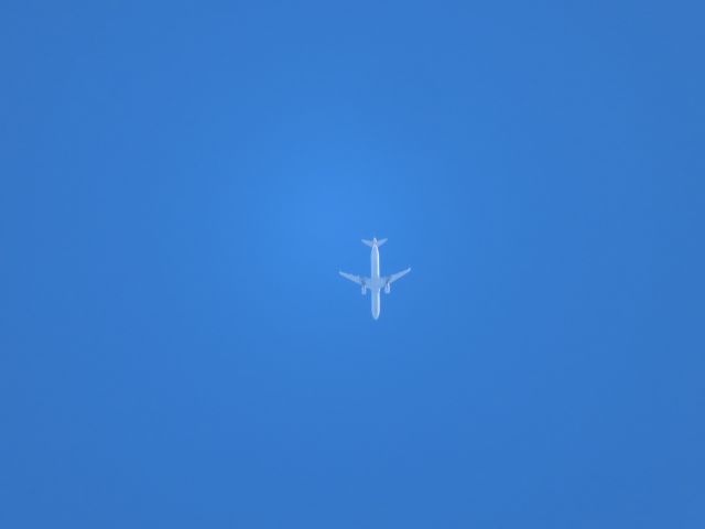 Airbus A321 (N132AN) - AAA321 en route to KDFW at 31,000 ft