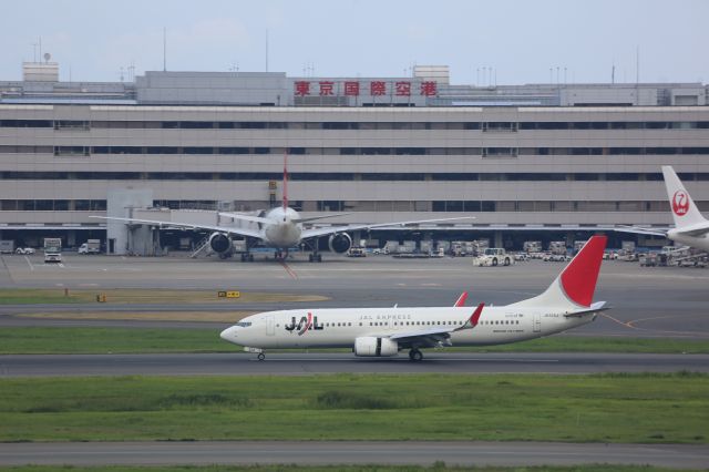 Boeing 737-800 (JA324J)