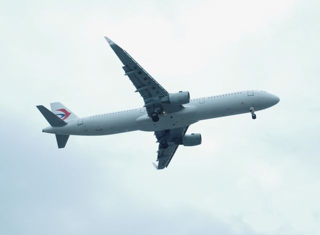 Airbus A321 (B-8163)