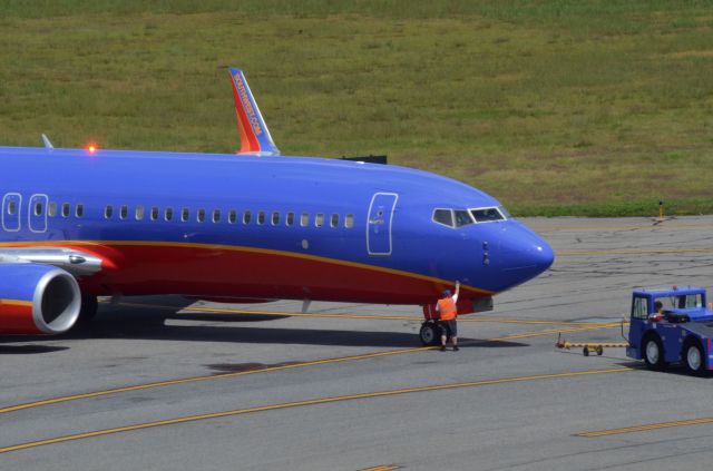 Boeing 737-800 (N8618N) - Awesome beacon shot