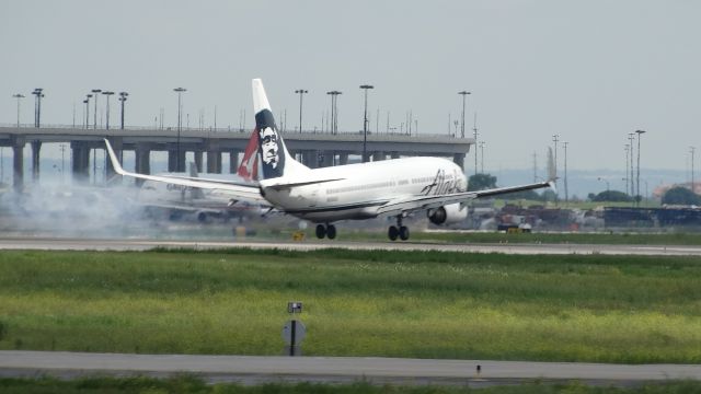 Boeing 737-800 (N556AS)