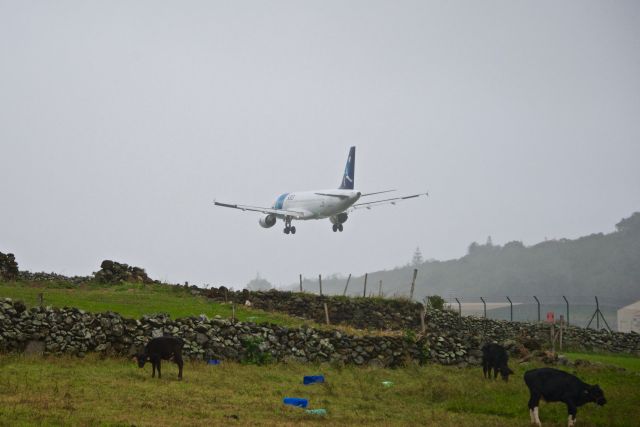 Airbus A320 (CS-TKJ)