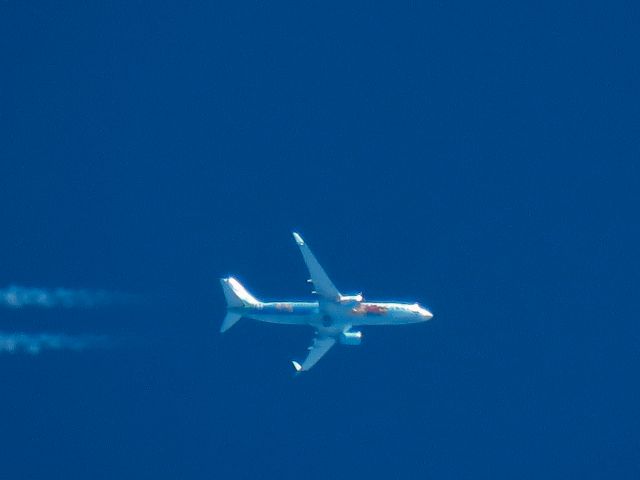 Boeing 737-800 (N560AS)