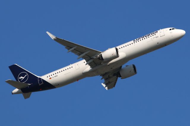 Airbus A321neo (D-AIEE)