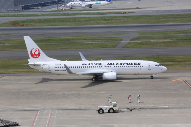 Boeing 737-800 (JA337J)