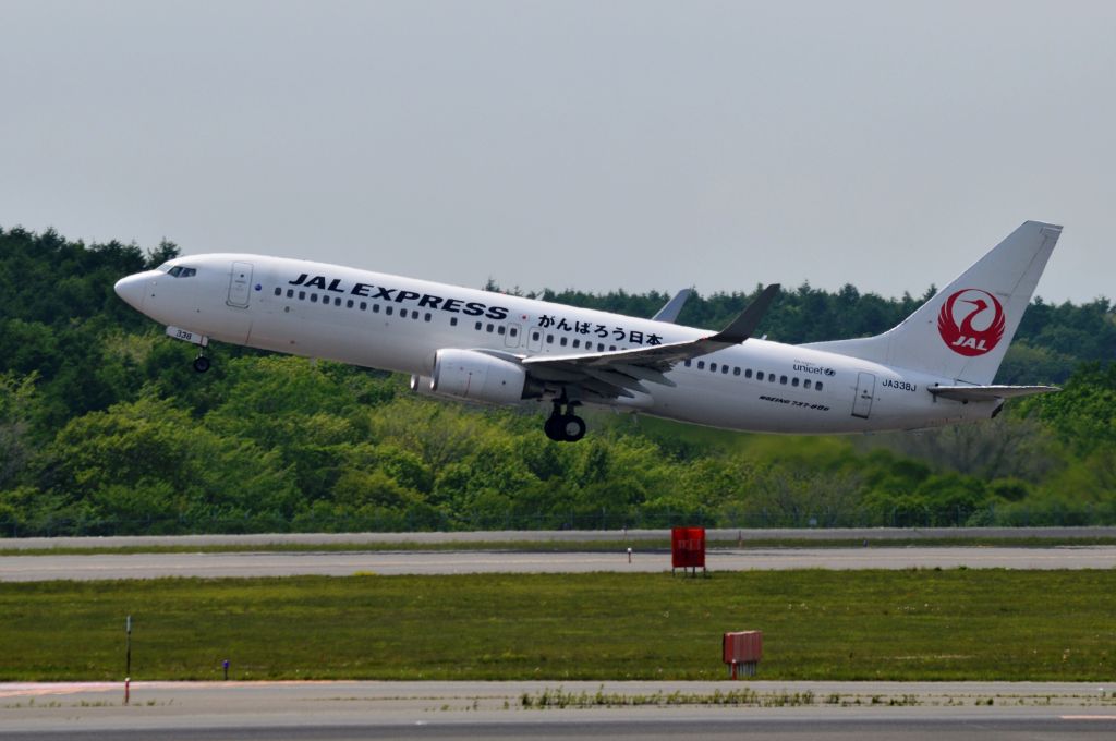 Boeing 737-800 (JA338J) - 2015-05-30