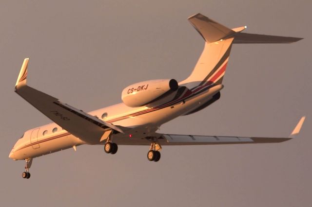 Gulfstream Aerospace Gulfstream V (CS-DKJ)