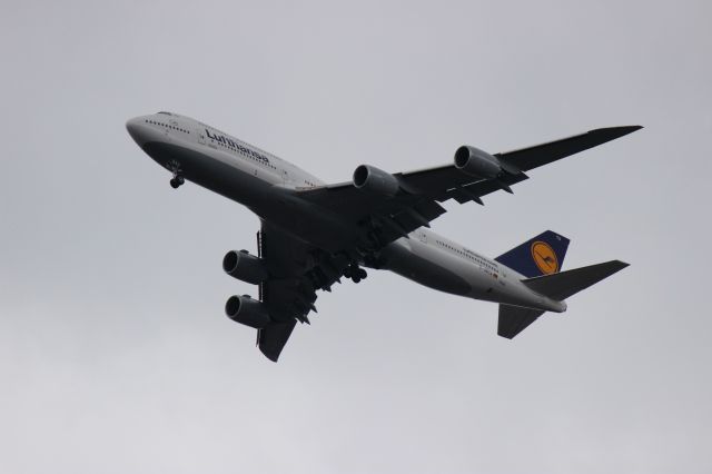 BOEING 747-8 (D-ABYA) - Sitting in my backyard in Northern Virginia watching planes cleared to land on Dulles runway 1R.  This is a few miles south of the airport.