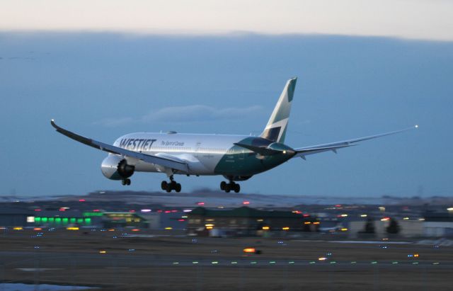 Boeing 787-8 — - It was a lot darker than the shot implies 