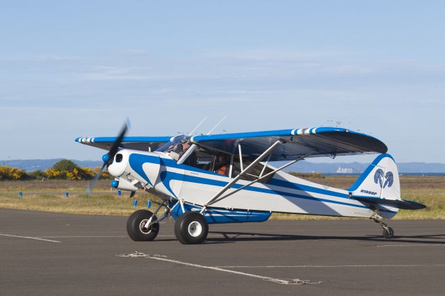 Piper L-21 Super Cub (N1886P)