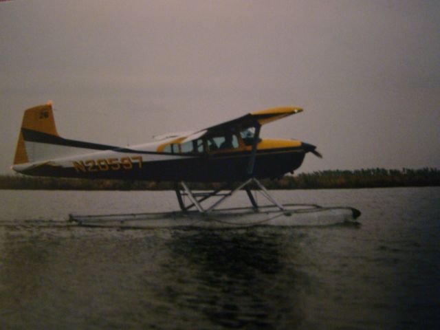 Cessna Skywagon 180 (N20597) - It was hard docking at this tree to let Mr. charlie in and out of this tree. That was the good old days. My Solo flight.