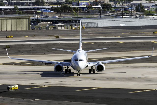 Boeing 737-800 (N956NN)