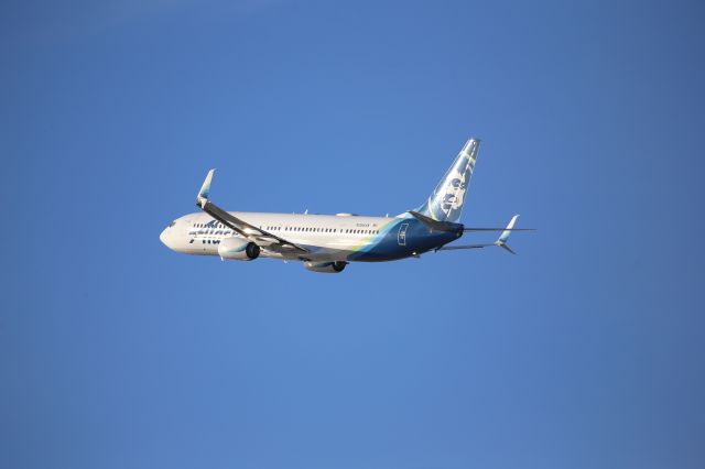 Boeing 737-900 (N431AS)