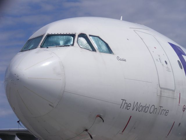 Airbus A310 — - casie on the nose