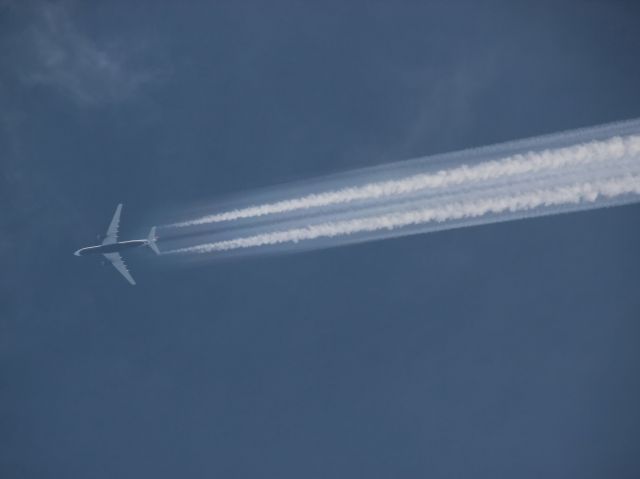 Airbus A330-200 (N286AY)