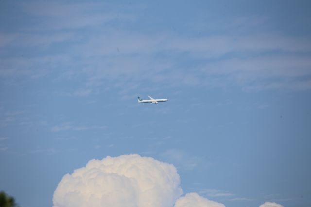 BOEING 777-300ER (B-16706)