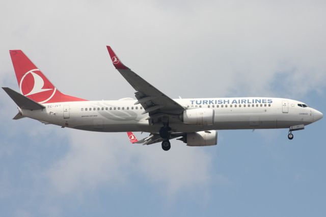 Boeing 737-800 (TC-JVT)