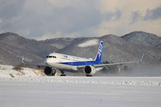 Airbus A321neo (JA141A) - January 4, 2023:HKD-ITM.