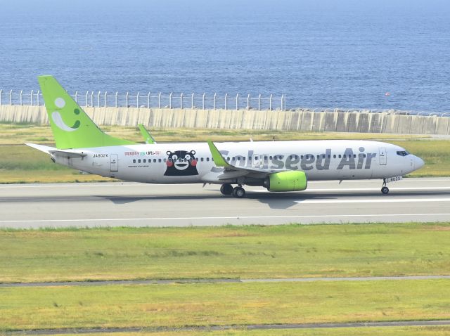 Boeing 737-800 (JA802X)