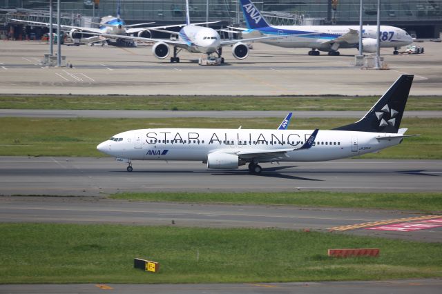 Boeing 737-800 (JA51AN)