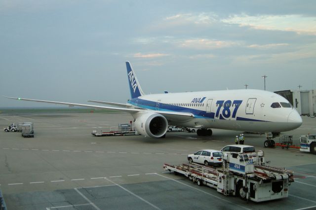 Boeing 787-8 (JA808A) - ANA Boeing 787-8 Dreamliner JA808A in Tokyo Haneda