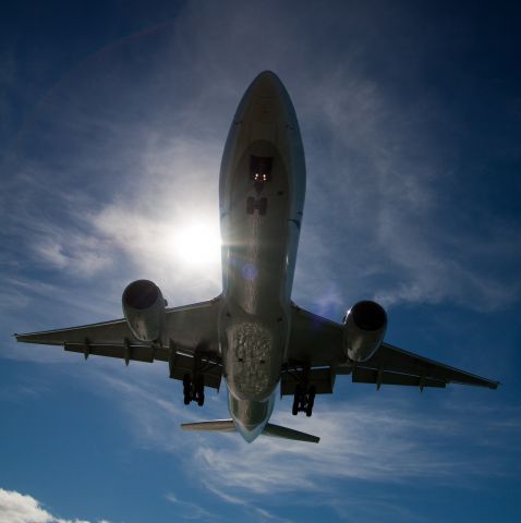 BOEING 767-300 — - On the sidewalk underneath.