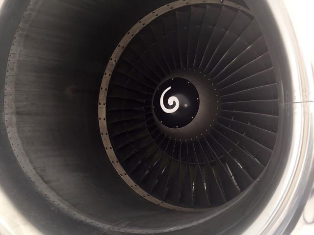 Boeing 737-500 (N321GG) - In front of the Engine