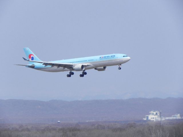 Airbus A330-300 (HL7584)