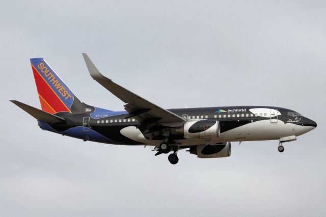 Boeing 737-700 (N713SW) - "Shamu" (12-27-2010)