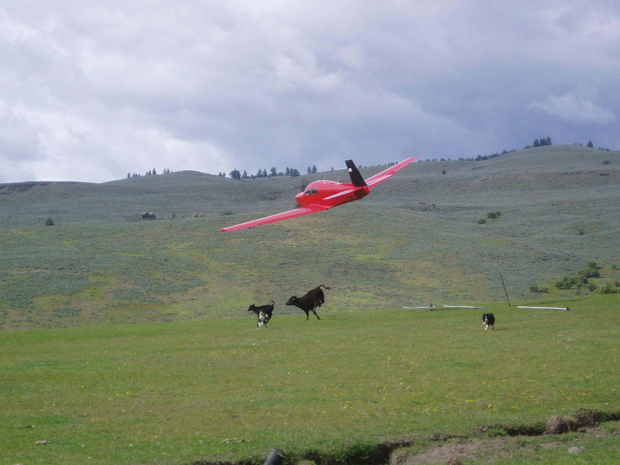 Mooney M-20 (N5842Q) - Taking off from a private 1900ft grass strip in Oregon