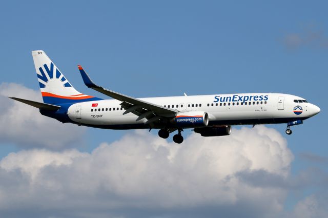 Boeing 737-800 (TC-SNY)