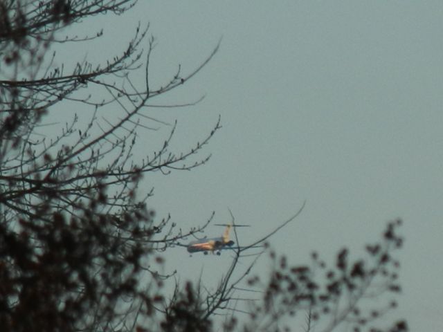 McDonnell Douglas MD-83 (N965TW) - An American Airlines McDonald Douglas MD-83 Takes Her Gear Down, Tree Leaves And Tree Branches, Often Both Combined, provided the backdrop for this photo, Nature and Aviation can make great combinations, one of my favorite parts of this photo is the focus, as you can see the nearest tree branches have been blurred out, and instead it focus on the MD-80, normally, its the Opposite, but, i normally focus on a far tree branch, and THEN take the pic because the aircraft is far like the tree branch, but, for this photo, i did nothing and tried to focus  on the aircraft itself, my camera knew! and the MD-83 beautifully puts her great gear down! Her Skid Device is also visible!  