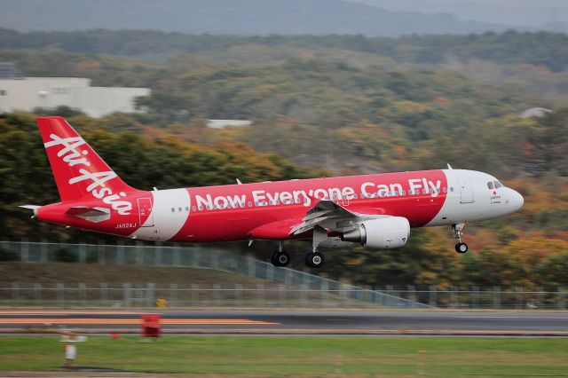 Airbus A320 (JA02AJ)